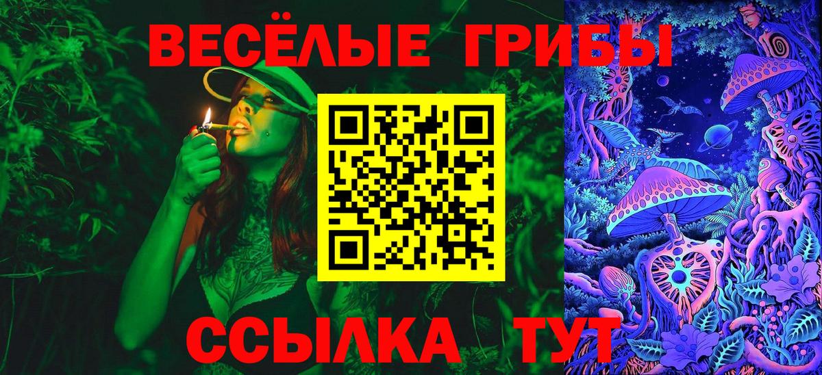 Галлюциногенные грибы Psilocybine cubensis  Галлюциногенные грибы MAGIC MUSHROOMS  где найти наркотики  Гусь-Хрустальный  Вход с VPN 